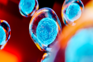 Researchers improve performance of targeted protein degradation