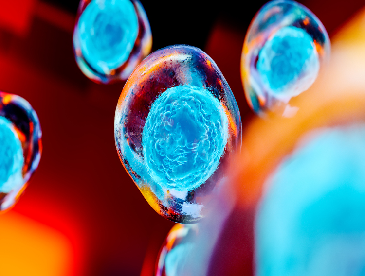Researchers improve performance of targeted protein degradation