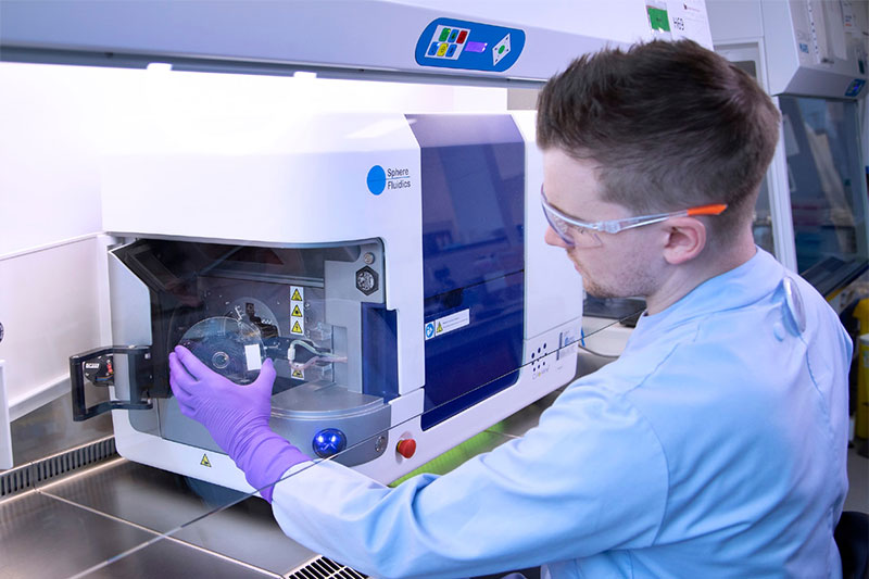 Robust and flexible cell lines that fit your strategy