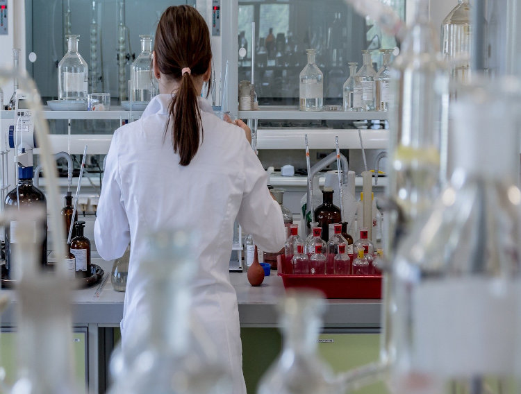 RoosterBio partners with Sartorius on scale up protocols