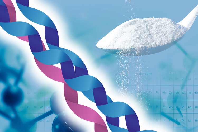 Rousselot shuffles collagen offerings
