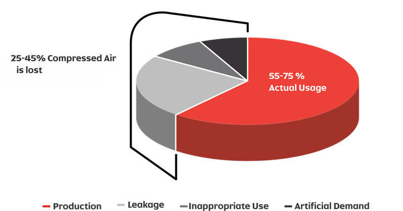 Safeguarding your compressed air assets