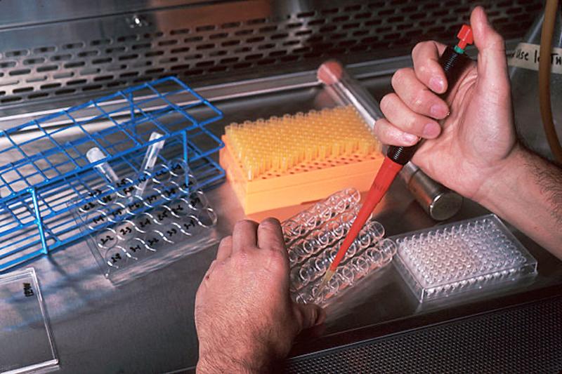 Samsung Biologics debuts a series of monoclonal antibody development platforms