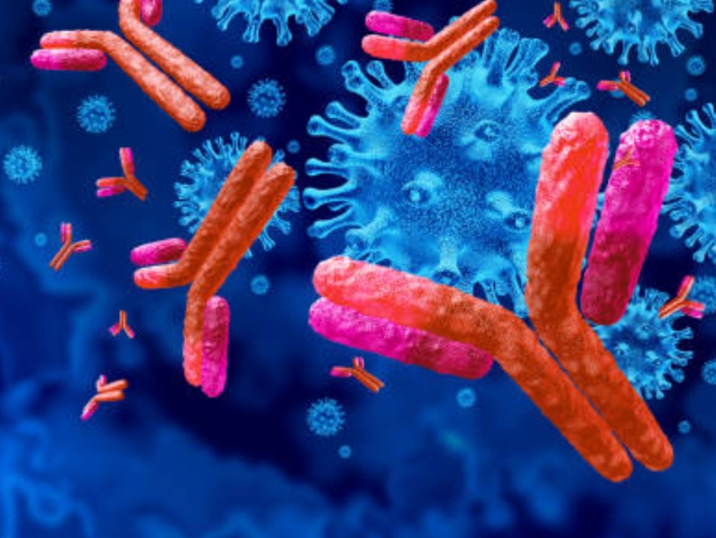 Samsung enters agreement on manufacture of antibody cancer drug
