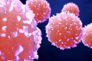 Sanger Institute study reveals how immune cells target selectively