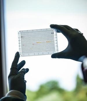 Sanger Institute uncovers 600 oncology drug targets