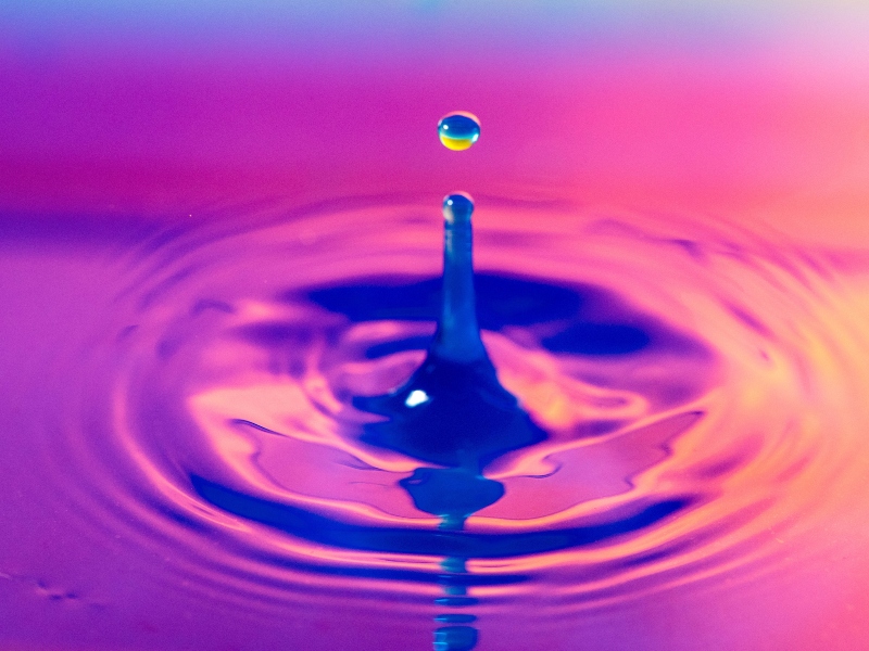 Sartorious addresses purification challenges through RoosterBio collaboration