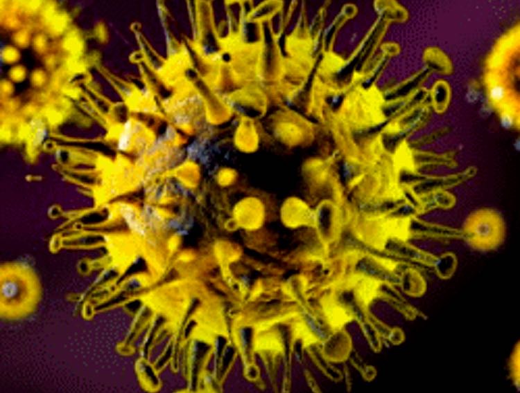 Sartorius supports first coronavirus vaccine in clinical trials