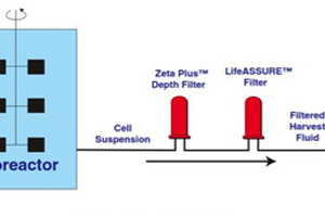 Scaling-up disposable systems for depth filtration in cell culture clarification