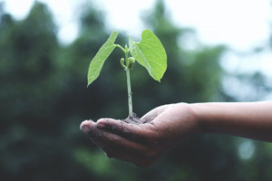SCHOTT Pharma releases first sustainability report