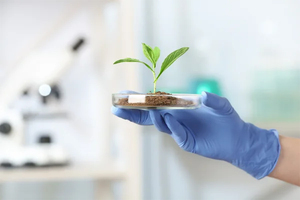 Science based targets initiative confirms CO2e reduction targets