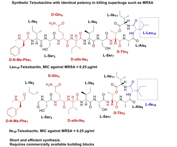 Scientific breakthrough with superbug-killing teixobactin