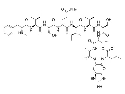 Scientific breakthrough with superbug-killing teixobactin