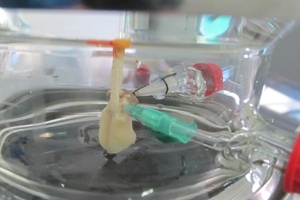 Scientists develop an artificial lung the size of a sugar cube