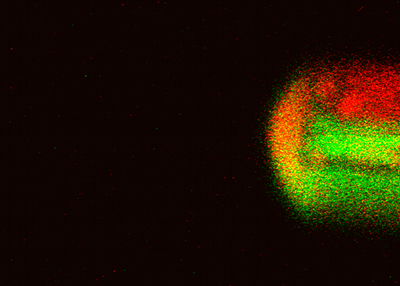 Scientists develop world’s smallest reaction chamber