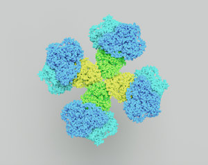 SciRhom nominates anti-iRhom2 antibody for development
