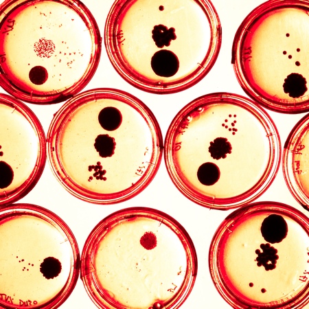 Seeking a solution to antimicrobial resistance