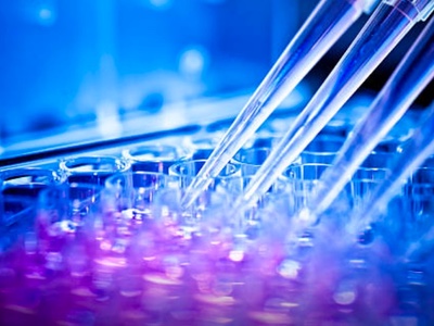 Selcia joins Eurofins Group