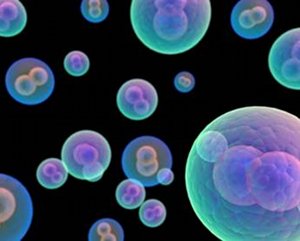 Sera Labs offers 1,500 recombinant proteins