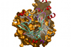 SGC provides funding of US$49m to support drug discovery
