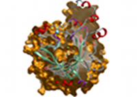 SGC provides funding of US$49m to support drug discovery