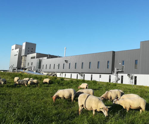 SGD Pharma’s sustainability report outlines industry leading pharmaceutical glass CSR performance