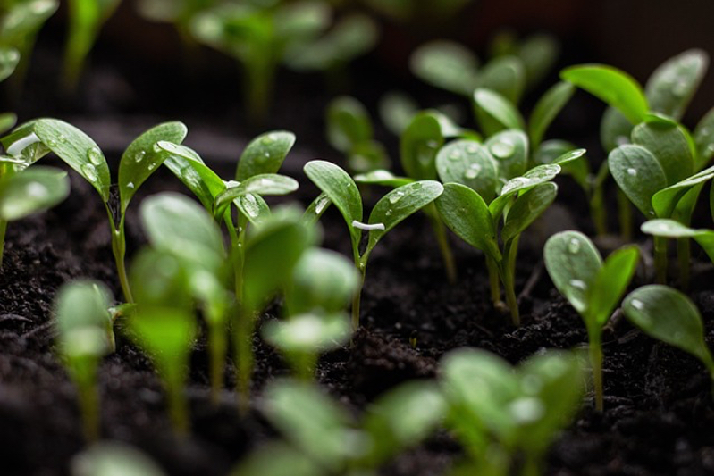 SGD Pharma unveils its latest sustainability report