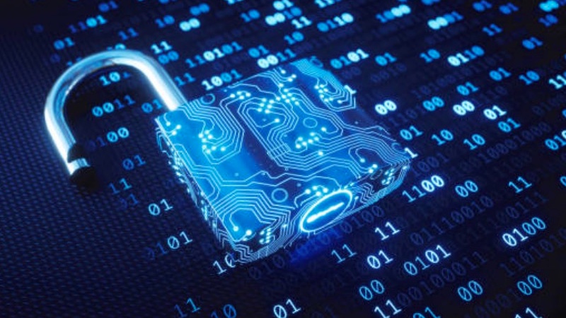 SGS adopts Veeva Systems clinical trial management system 