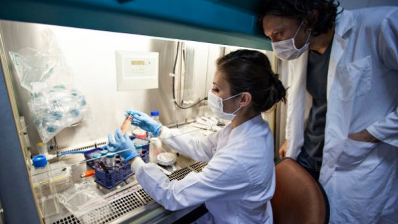 SGS implements PBMC analysis for early phase clinical trials