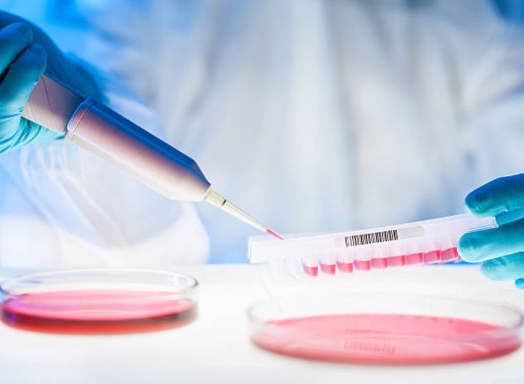 Solentim and SAL Scientific partner on cell line development