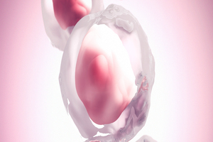 Solentim launches workflow for single stem cell cloning