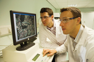Solid reasons for early drug analysis