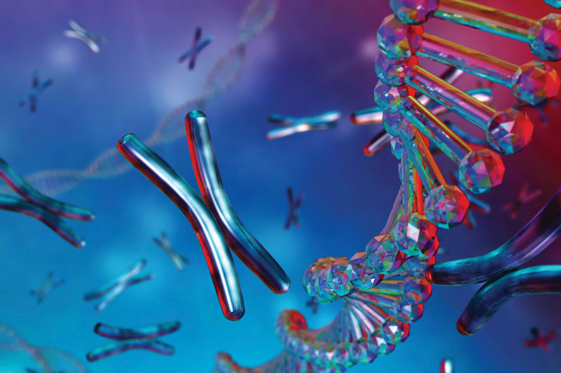Somite Therapeutics and OmniaBio collaborate to advance cell therapy flagship programme