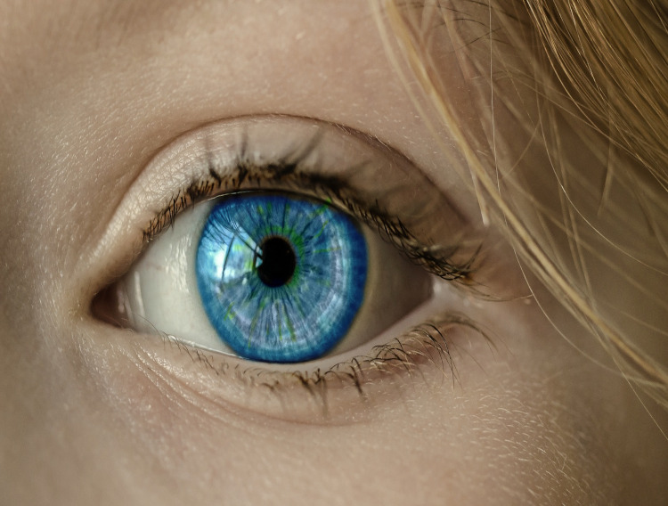 SparingVision enters agreement to acquire Gamut Therapeutics