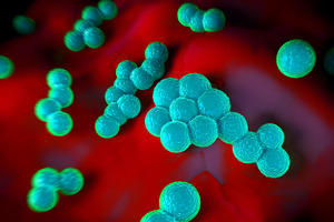 Spexis announces sale of preclinical antibiotics programme to Basilea