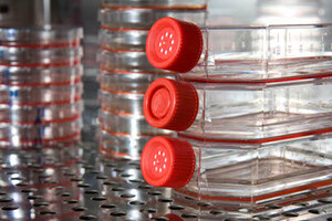 Spinnovation Biologics predicts bioproduction performance
