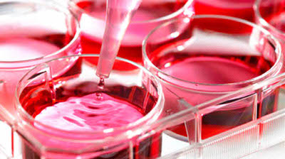 Spinnovation launches biologics analysis division