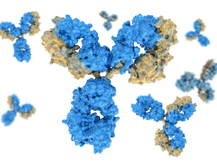 Spirea raises funds for novel ADC platform
