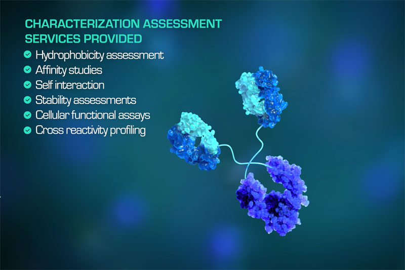 Stabilised transmembrane proteins to accelerate antibody drug discovery