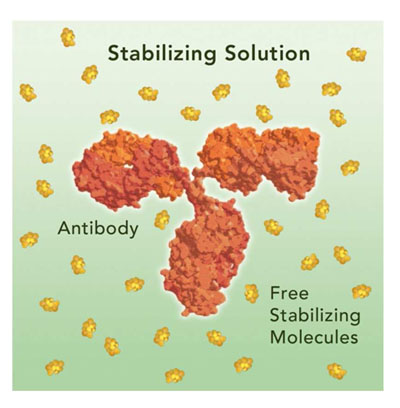 Stabilising biologics for vaccine production