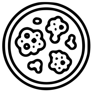 Standardising cell-based potency assays for biologics lot release: the case for cryopreserved ready-to-use cell systems (part II)