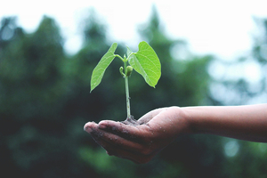 Starlab reflects on the success of its sixth Sustainability Weeks initiative