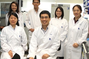 Stem cell human heart tissue improves drug testing