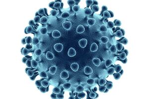 Sterling signs deal to produce potential COVID-19 drug candidate for Moleculin