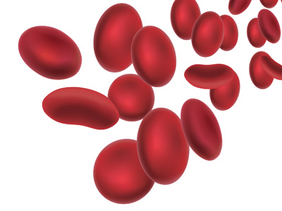 Strategies to eliminate upstream variability in bioprocessing