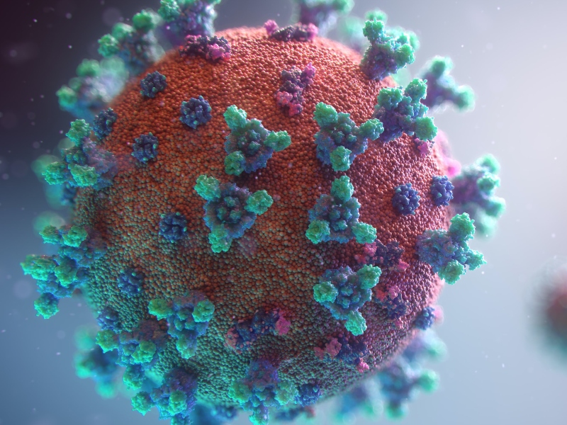 Study published on "ultrapotent" SARS neutralising antibodies