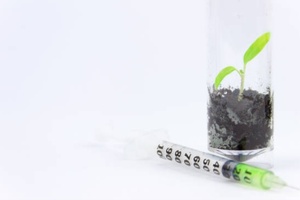 Study uses fresh method to evaluate botanical-drug interactions 