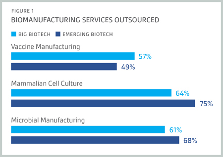 Suiting a strategy to fit biotech behaviours