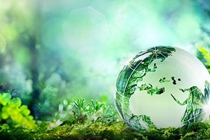 Sustainability takes centre stage at Packaging Innovations 2018