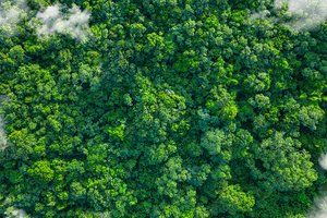 Sustainability that performs: how GEA is building a better future for pharma
